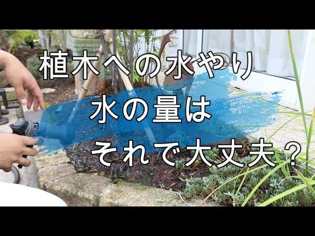 植木の水やり 水の量はそれで大丈夫 Youtube