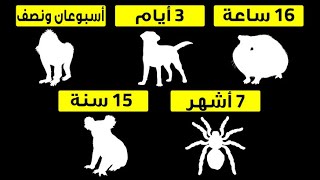 ما المدة التي تستطيع الحيوانات عيشها بدون ماء؟