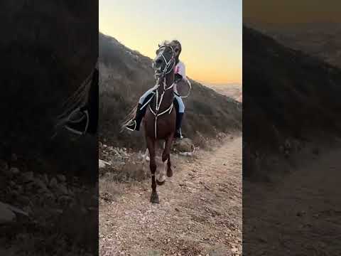 ريم بنات طرابلس