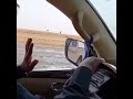 غزال الريم في السعوديه نجد 1442 غزال الريم في السعوديه نجد 1442