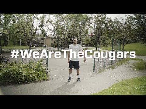 We Are The Cougars