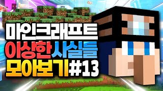 마인크래프트 이상한 사실들 모아보기 #13 (Minecraft)