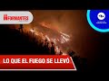 Campesinos preservan los frailejones tras los impactantes incendios forestales - Los Informantes