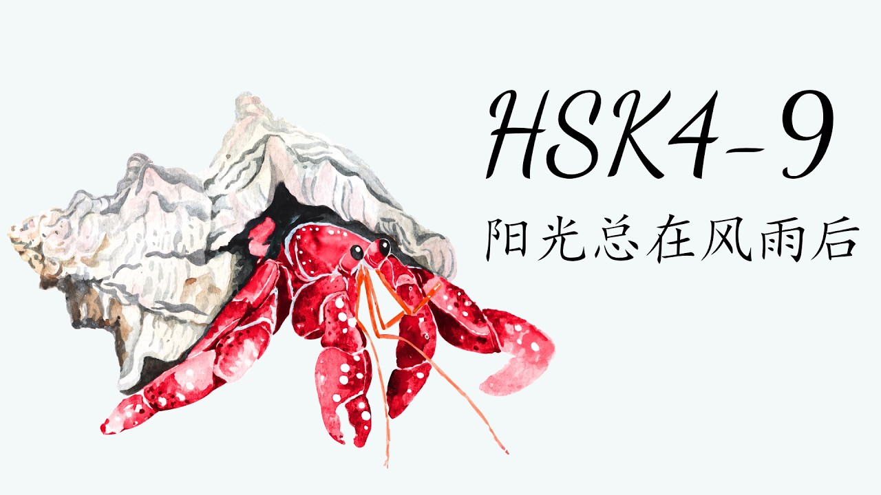 (2.0) HSK4-9: 阳光总在风雨后/Sau cơn mưa trời lại sáng/ GT tiêu chuẩn HSK4