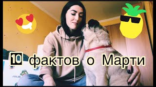 10 фактов о Марти