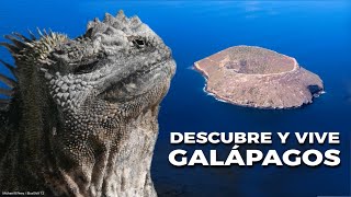 Las Islas Galápagos | Un mundo de especies fascinantes.  #ecuador by BENILANDIA 336 views 1 month ago 9 minutes, 49 seconds