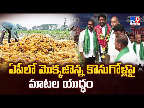 Political War Over Maize Procurement in AP | ఏపీలో మొక్కజొన్న కొనుగోళ్లపై మాటల యుద్ధం - TV9 - TV9
