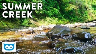 Beautiful Summer Creek - 2 Hours of Relaxing Water Sounds & Soothing White Noise