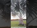 Poetry / Voice / Video: Nabeel Ahmad, Music: Instagram / Mithilesh Panchal, Location: Gwadar