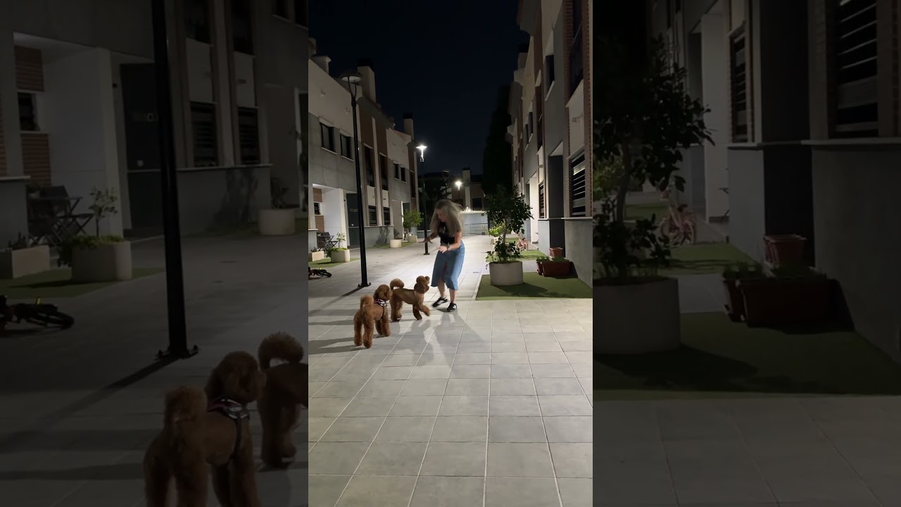 la madre de martina jugando con los perros #short #shorts