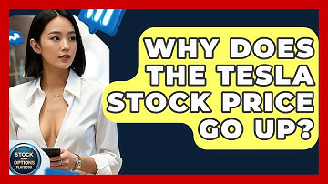 Why Does the Tesla Stock Price Go Up? | Stock and Options Playbook