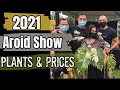 2021 International Aroid  Show & Sale, Prices for Trendy, Uncommon, Hard to Find & Rare Plants,