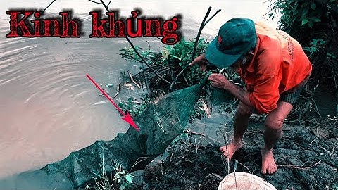Bẩy Cá 12 Cửa Ngục Rừng Hoang Kênh Xáng