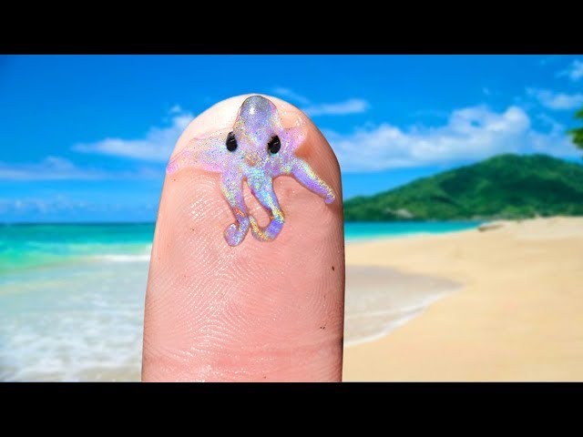 CUTEST And TINIEST Sea Creatures! class=