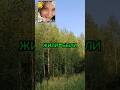 #кемпинг #краснаякреветка #рецепты #тожевкусно #еда #природа #подпишись #love #красота