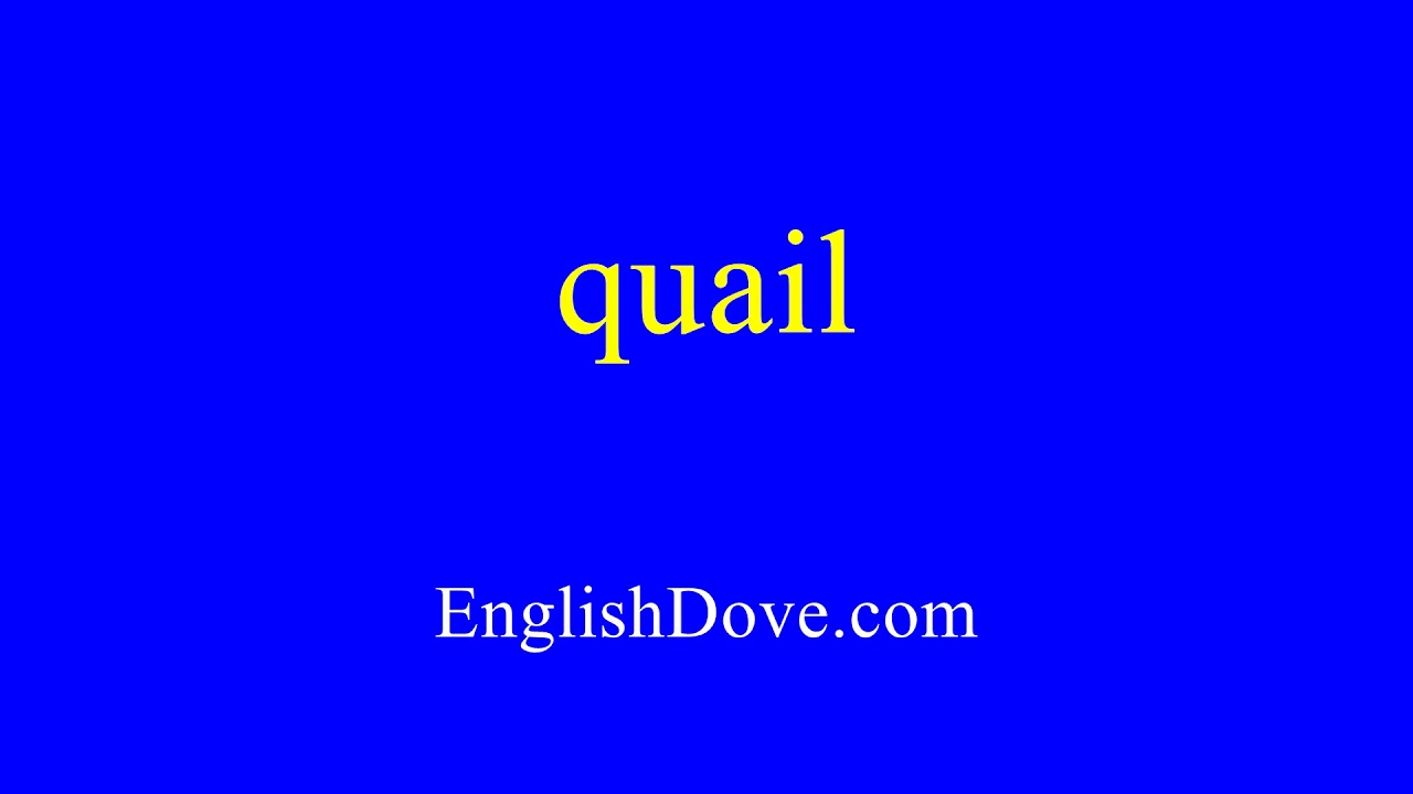 How to pronounce quail in American English.