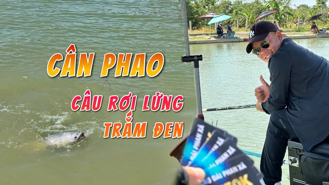 Cách cân phao và câu cá trắm đen rơi lửng #chungnguyenfishing