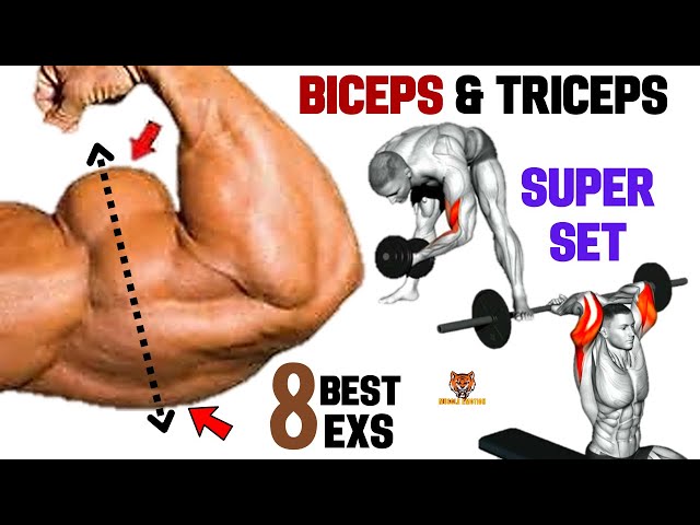 8 Best biceps and triceps AT GYM SUPERSET TRICEPS & BICEPS 