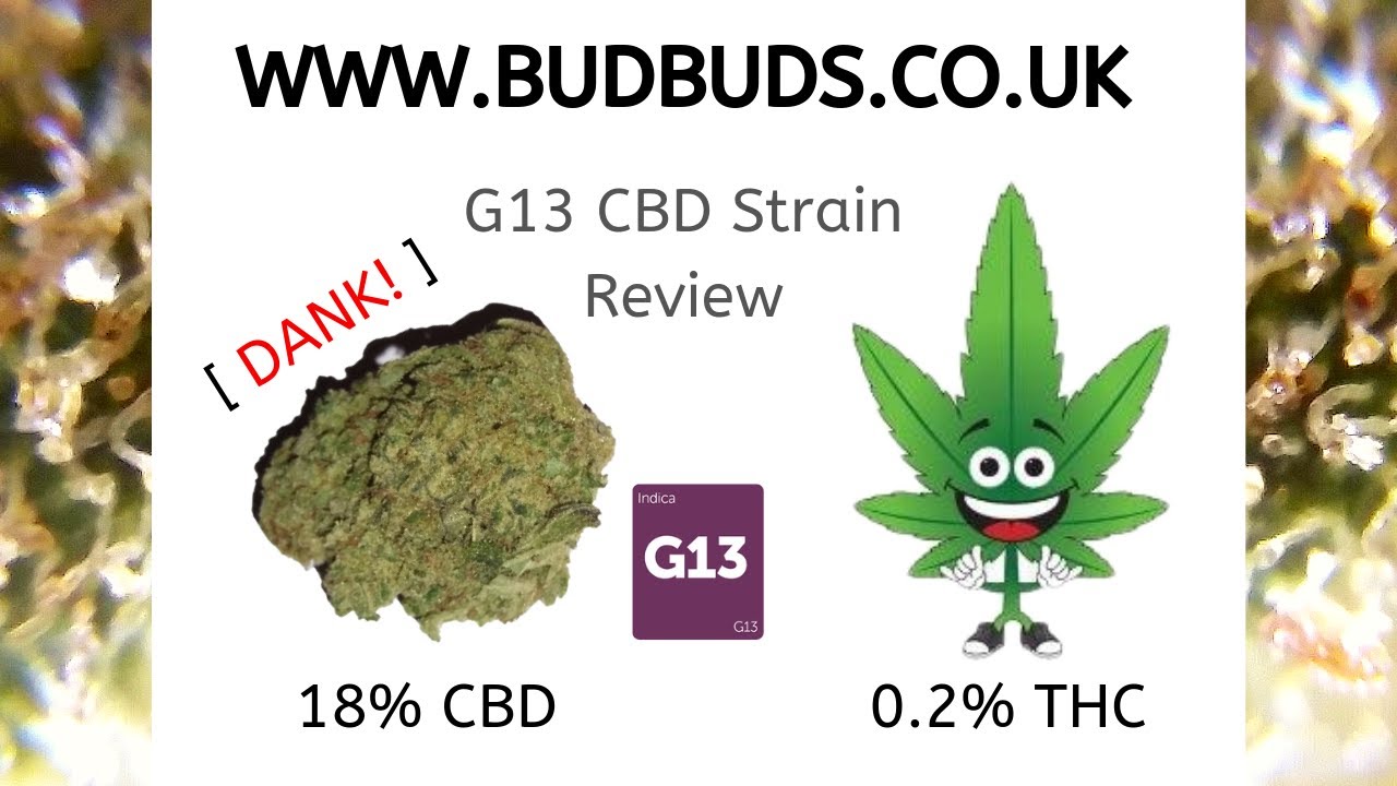 BUDBUDS UK ( G13 ) CBD Strain Review 100% UK legal