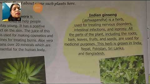 Class V General Knowledge 12 04 2021 by Ms Anchal Singh, Miracles of nature