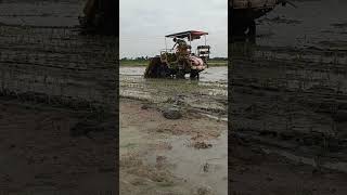 #yanmar #agriculture #farming #ytshorts