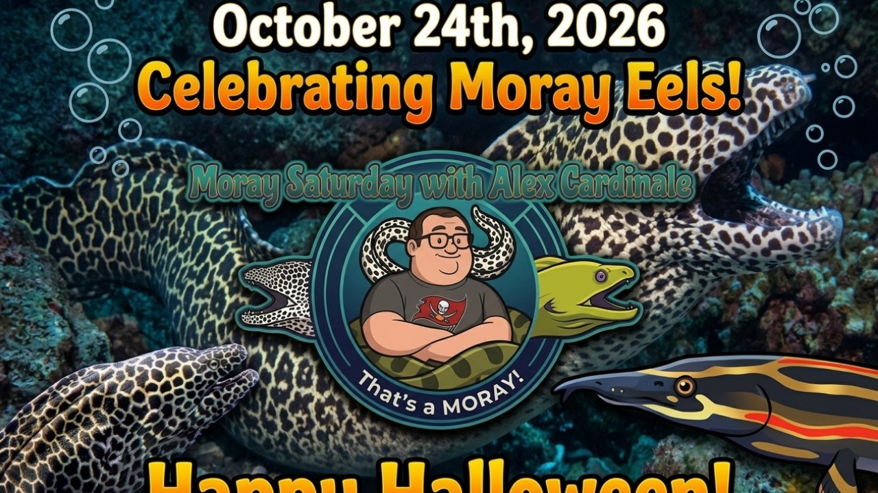 Moray Saturday w/ Alex Cardinale : 10/24/2026
