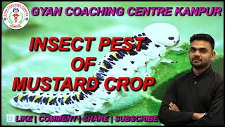 INSECT PEST OF MUSTARD CROP | Best Agriculture Coaching For UPCATET | BHU | ICAR | BCECE | AFO