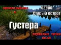 Русская рыбалка 4(рр4/rf4) - озеро Старый острог. Густера.