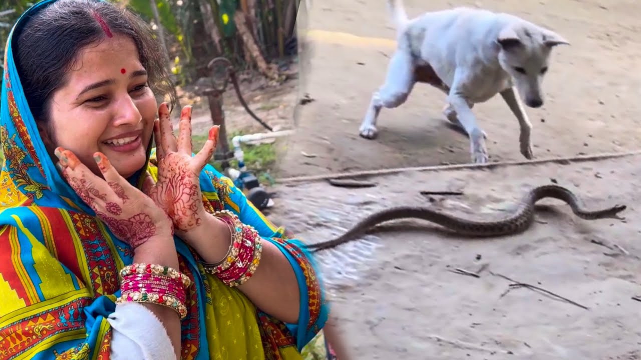 ଟିପୁ ପାଇଁ ସବୁ ଚିନ୍ତାରେ / Rupa Pin2 Khushi 