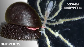 Инопланетяне: железные улитки и метановые морские пауки