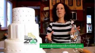 I want to be a cake designer! it sounds like sweet career, but where
do you start? training in bakery or culinary school? how about product
design degr...