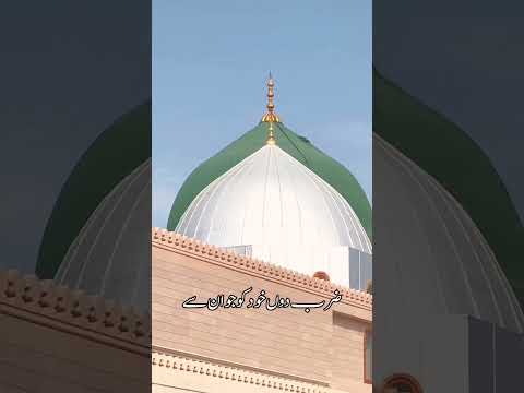 Muzzafar Warsi Naat Shorts Youtubeshorts