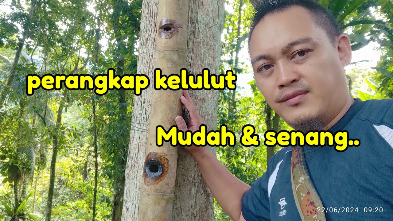 Cara mudah membuat perangkap kelulut
