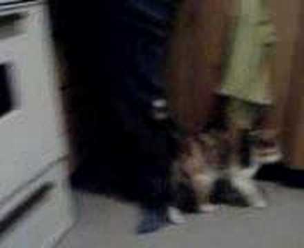 Mildred Perkins AKA Minou