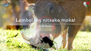 Tantara ICM Radio: Lambolahy mitsako moka. #gasyrakoto