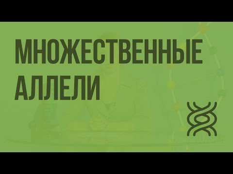 Множественные аллели анализирующее скрещивание видеоурок