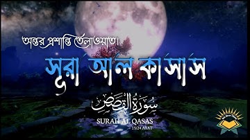 অন্তর প্রশান্তিময় তেলাওয়াত সূরা আল কাসাস | heart touching quran Surah Al Qasas سورة القصص | quran