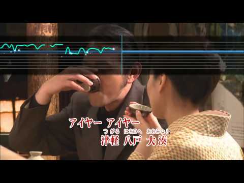 Wii カラオケ U - (カバー) 風雪ながれ旅