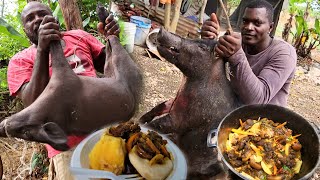 the most terrifying wild boar attack catch clean and cook brown stew curry