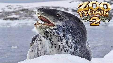 Zoo Tycoon 2: Leopard Seal Exhibit Speed Build