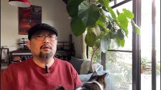 以千元票房计价的中国电影，会迎来一个“以屎为粮”的新时代，而且是各种口味的