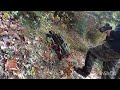 Crawlen zum Predigstuhl 9! 2xTRX6