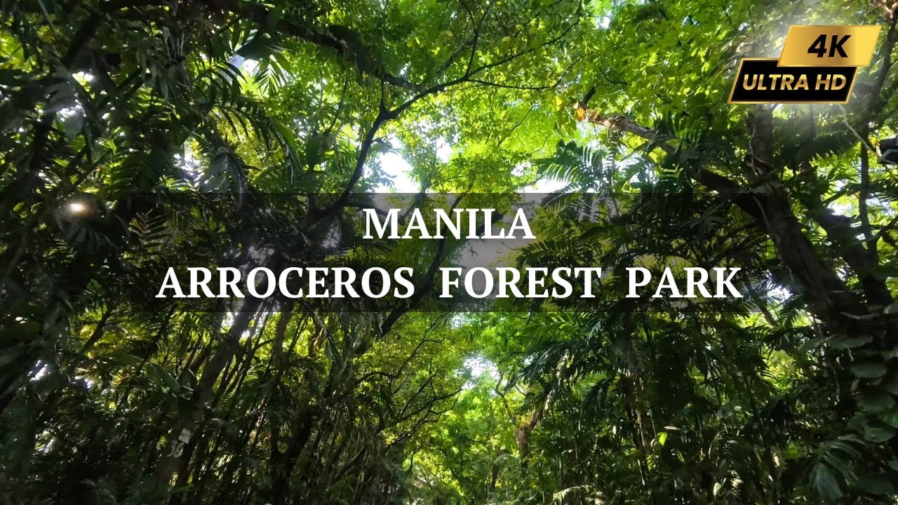 The Last Forest in Manila | ARROCEROS FOREST PARK - 4K MANILA PHILIPPINES