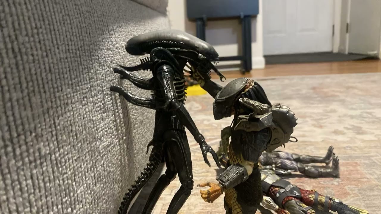 Predator Universe