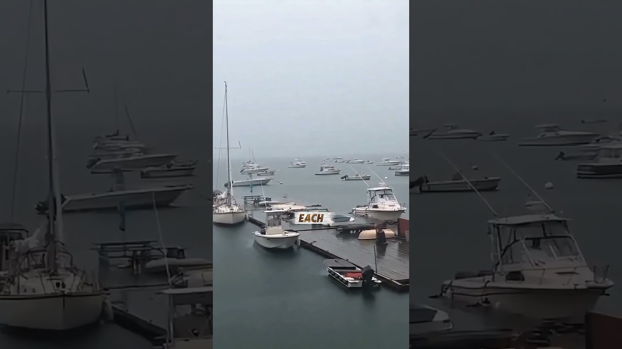 LIGHTNING Strikes Earth 8 MILLION Times A DAY?