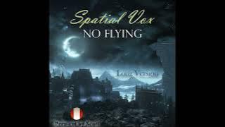 Spatial Vox - No Flying Long Version (Peru-cut by Scott)