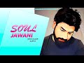 Soul Jawani Arsh Kaler Saff E Official Music Video New Punjabi Song 2024