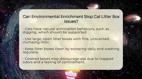 Can Environmental Enrichment Stop Cat Litter Box Issues? - Happy Cat Handbook