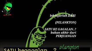 Story WA //kata'PLANKTON