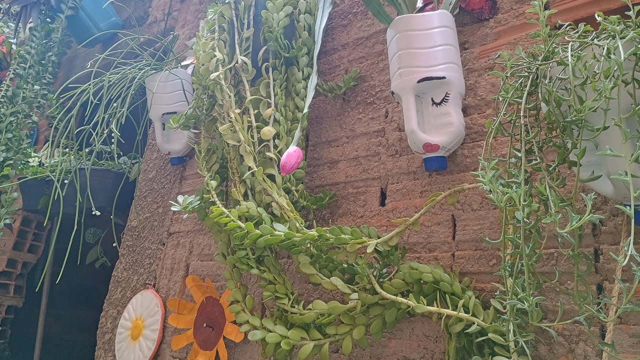 As quatro formas que uso  garrafas pets aqui no meu jardim # reciclagem ♻️♻️♻️
